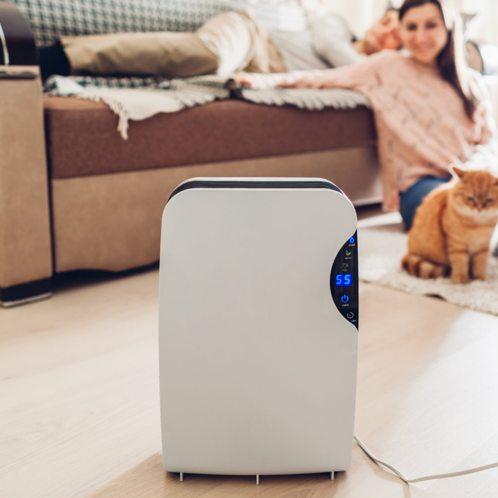 All Comfort Heating & Cooling | Whole-House Humidifiers vs. Dehumidifiers: Which is Right for You?